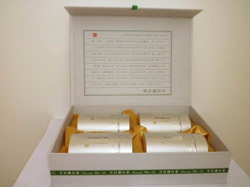 江蘇：溧陽白茶全方位開采